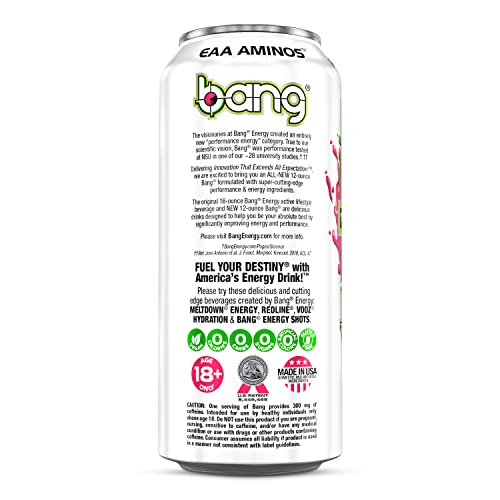 Bang Energy Wyldin’ Watermelon, Sugar-Free Energy Drink, 16-Ounce (Pack of 12)