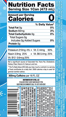 G Fuel Sugar Free Plant Based Ingredients – Snow Cone 16oz, 12-Pack – Vitamin Fortified Elite Game Changing Energy