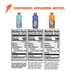 Gatorade Thirst Quencher, Fierce Variety Pack 2.0, 20 Fl Oz (Pack of 12)