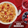 Special K Cold Breakfast Cereal, 11 Vitamins and Minerals, Made with Real Strawberries, Red Berries, 11.7oz Box (1 Box)