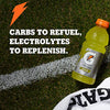 Gatorade Thirst Quencher Sports Drink, Variety Pack, 20oz Bottles, 12 Pack, Electrolytes for Rehydration